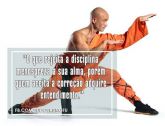 video curso SHAOLIN BÁSICO E FORMAS SHAOLIN