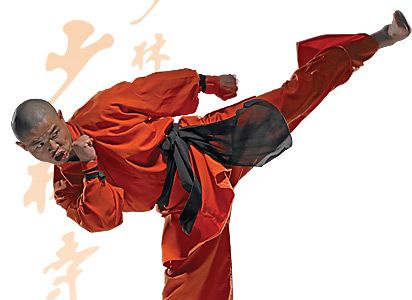 CURSO SHAOLIN TREINAMENTOS EM 3 DVDS C/CERTIFICADO